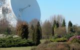 Jodrell Bank Arboretum